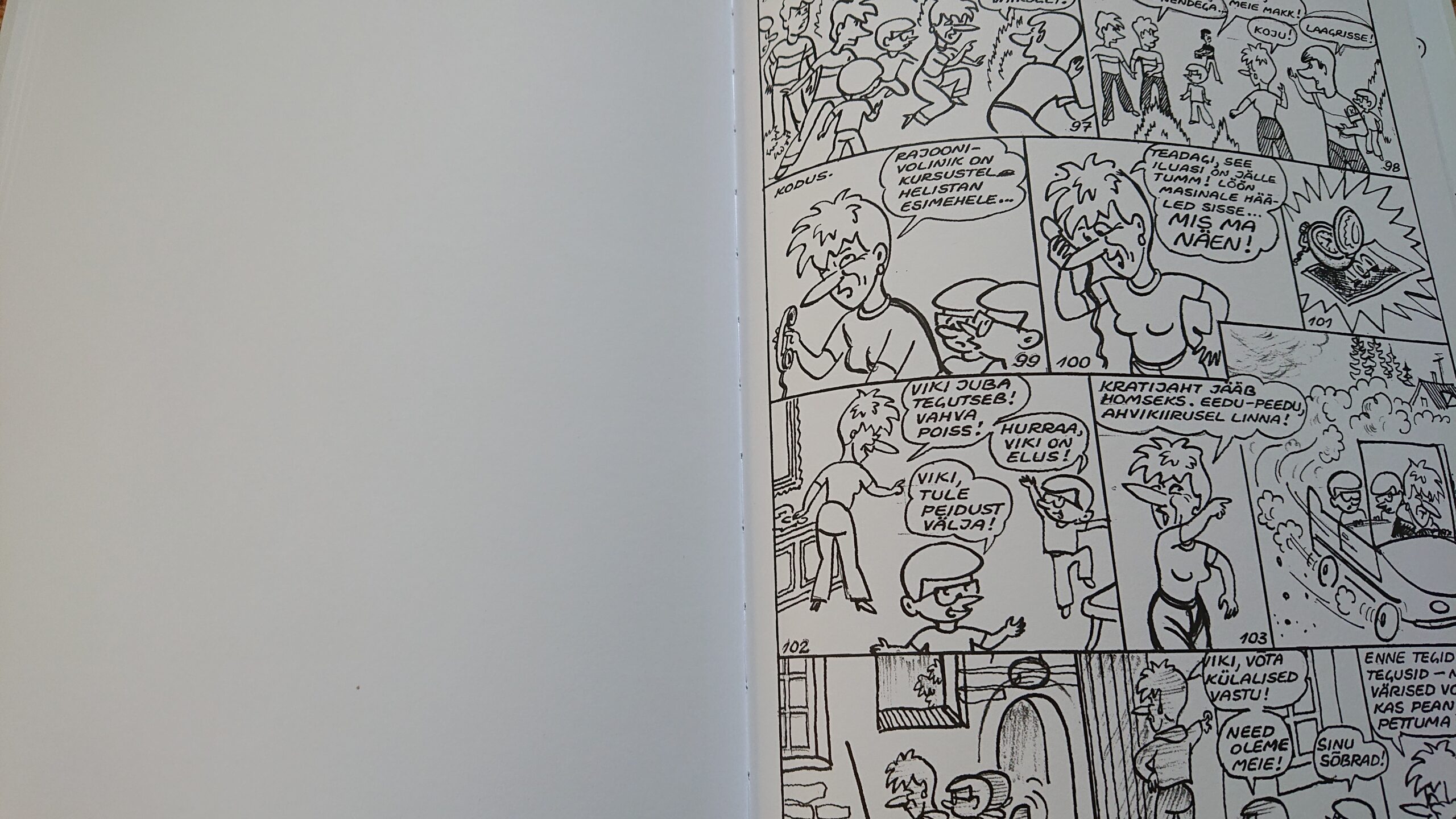 Kellel tekkis küsimusi Kallase kogumiku kohta, arvates raamatu keskpaigast leitud tühja lehe ja must-valge koomiksilehe praagiks, nendele kinnitame, et tegu on 